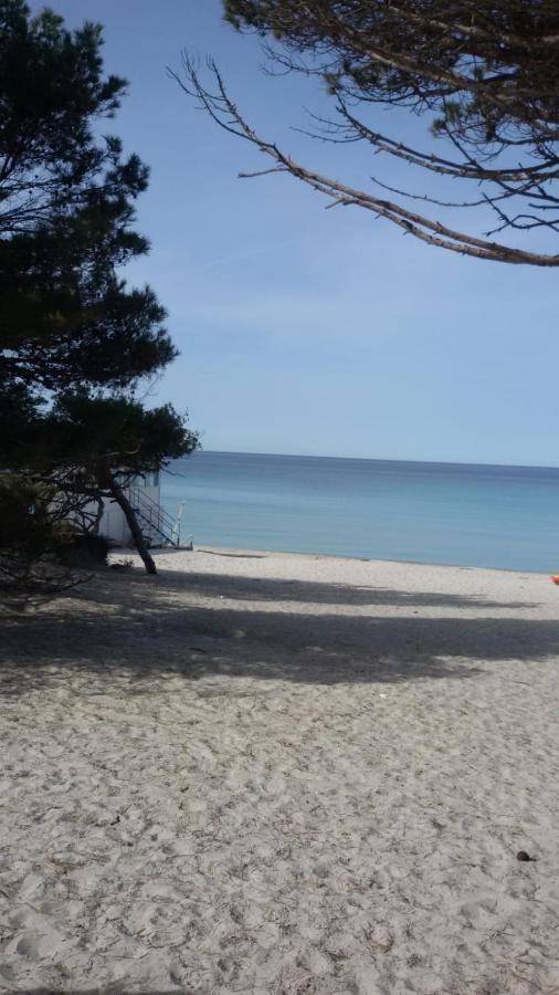 L'Anfora Bed & Breakfast Alghero Bagian luar foto