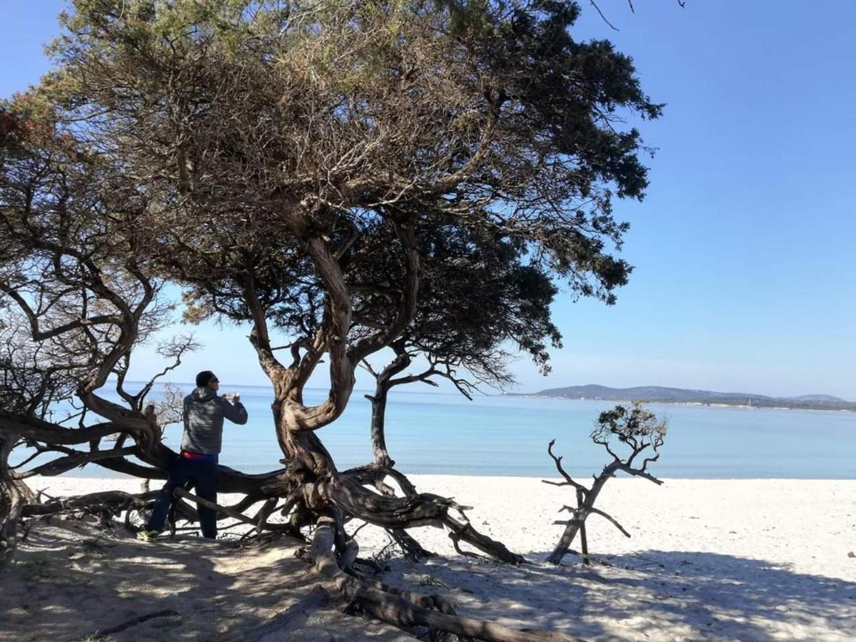 L'Anfora Bed & Breakfast Alghero Bagian luar foto