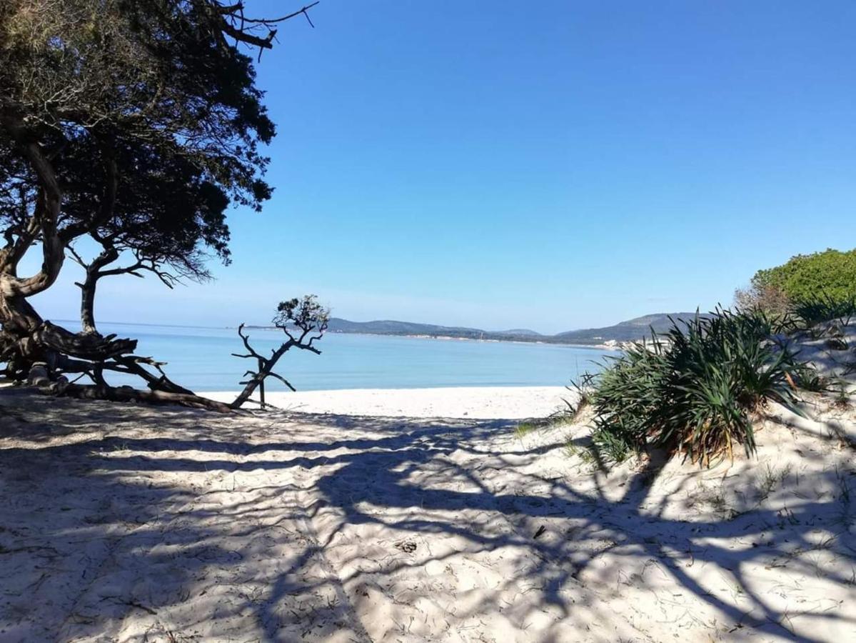 L'Anfora Bed & Breakfast Alghero Bagian luar foto