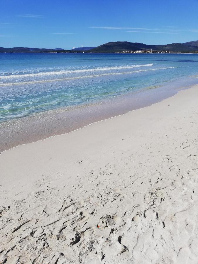 L'Anfora Bed & Breakfast Alghero Bagian luar foto