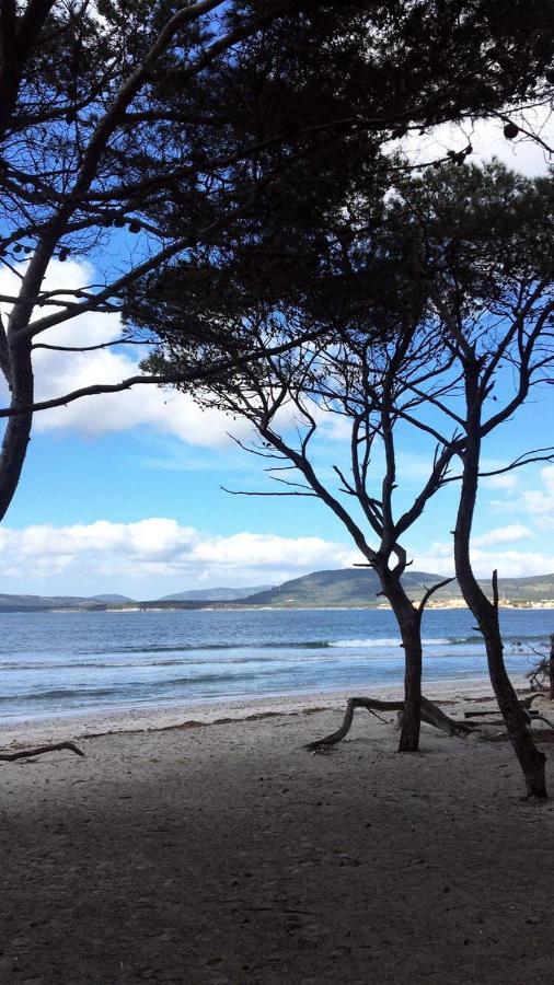 L'Anfora Bed & Breakfast Alghero Bagian luar foto